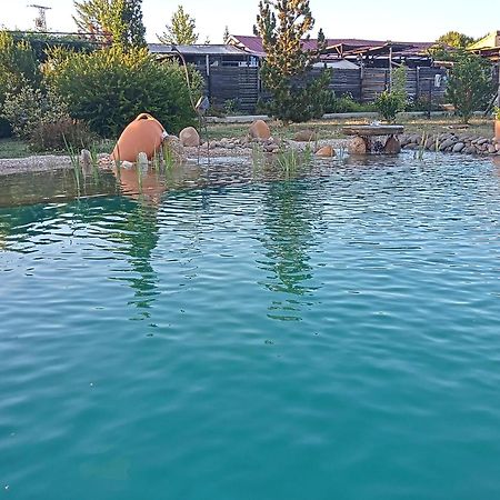 Hotel Albergue Bioclimatico Sabinares Del Arlanza Puentedura Екстериор снимка