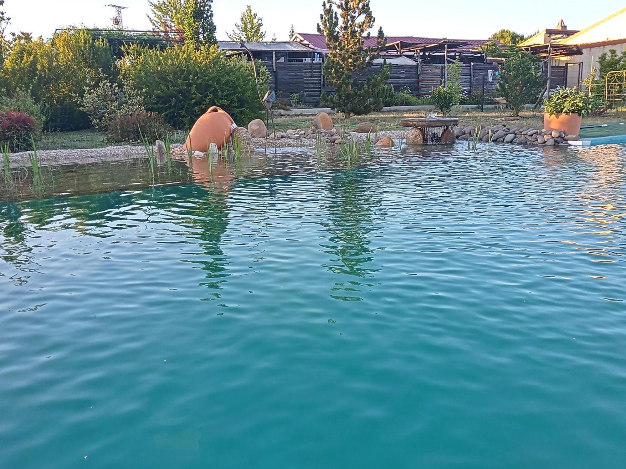 Hotel Albergue Bioclimatico Sabinares Del Arlanza Puentedura Екстериор снимка