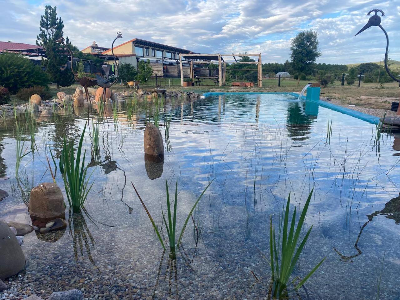Hotel Albergue Bioclimatico Sabinares Del Arlanza Puentedura Екстериор снимка