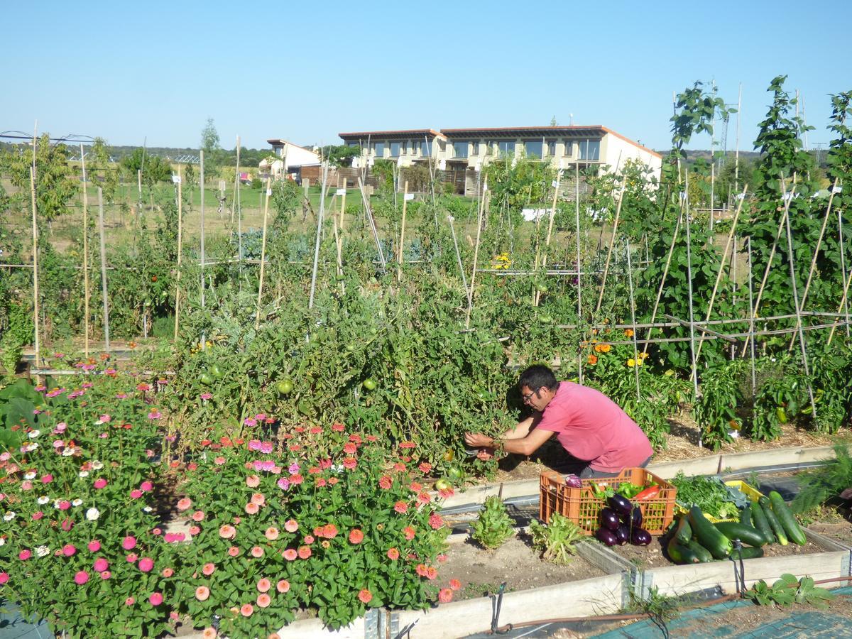 Hotel Albergue Bioclimatico Sabinares Del Arlanza Puentedura Екстериор снимка