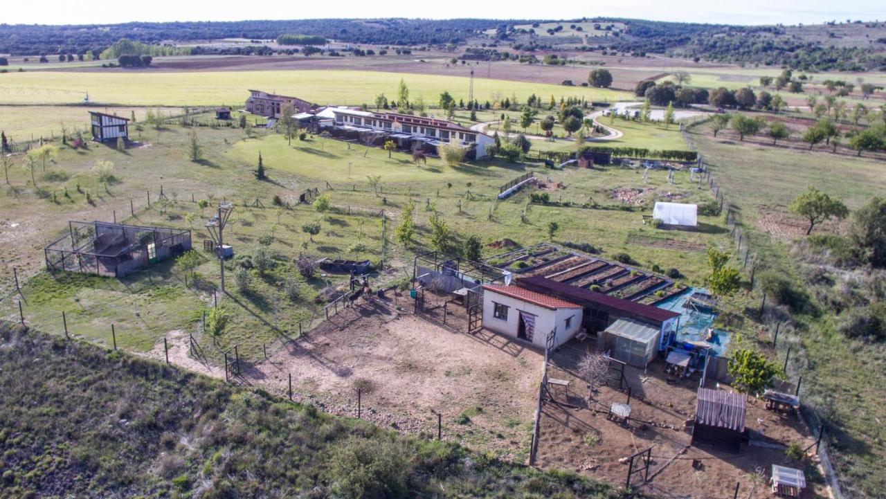 Hotel Albergue Bioclimatico Sabinares Del Arlanza Puentedura Екстериор снимка